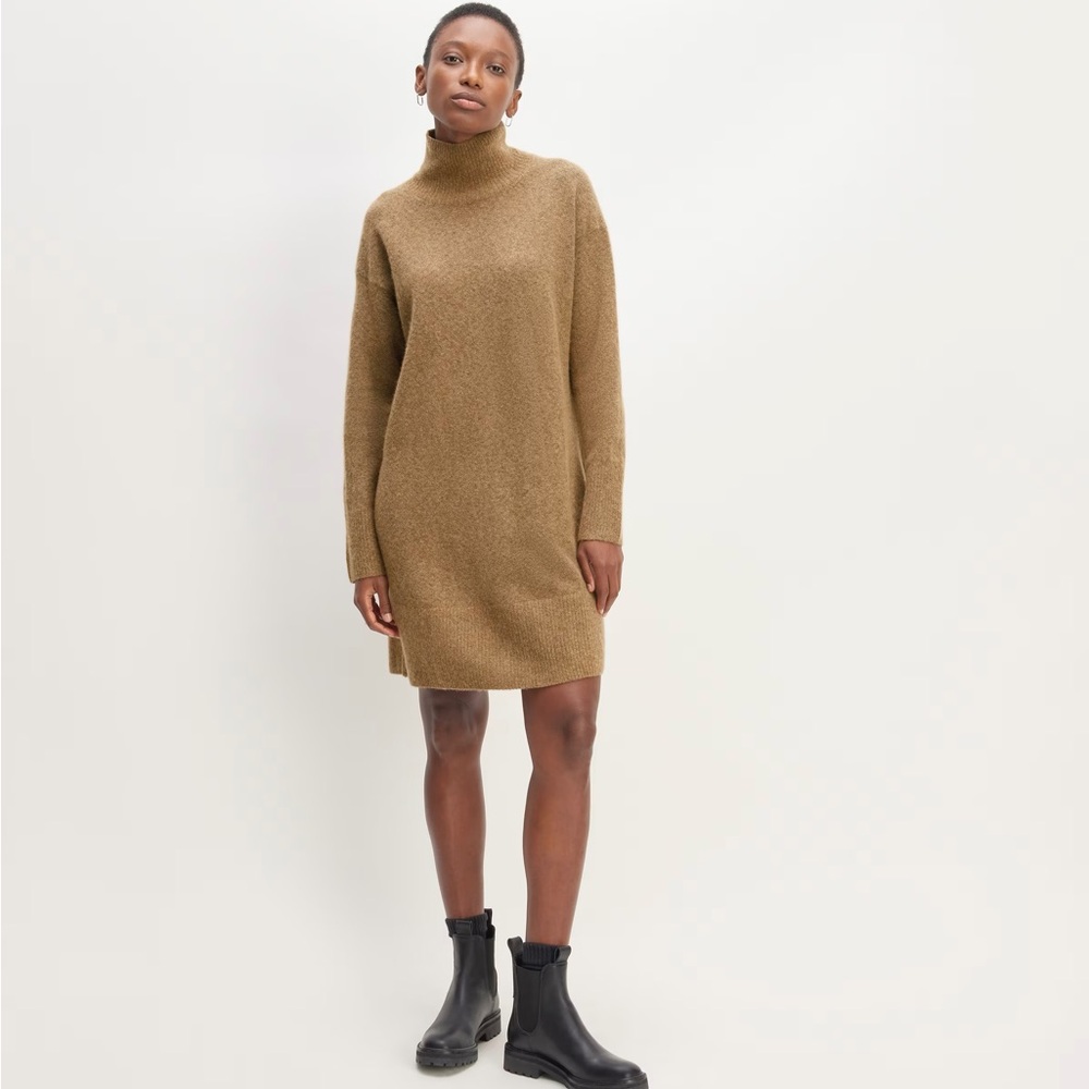 Everlane The Cozy Stretch Turtleneck Sweater Dress